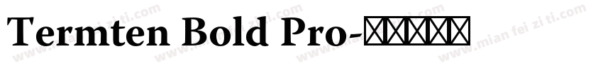 Termten Bold Pro字体转换